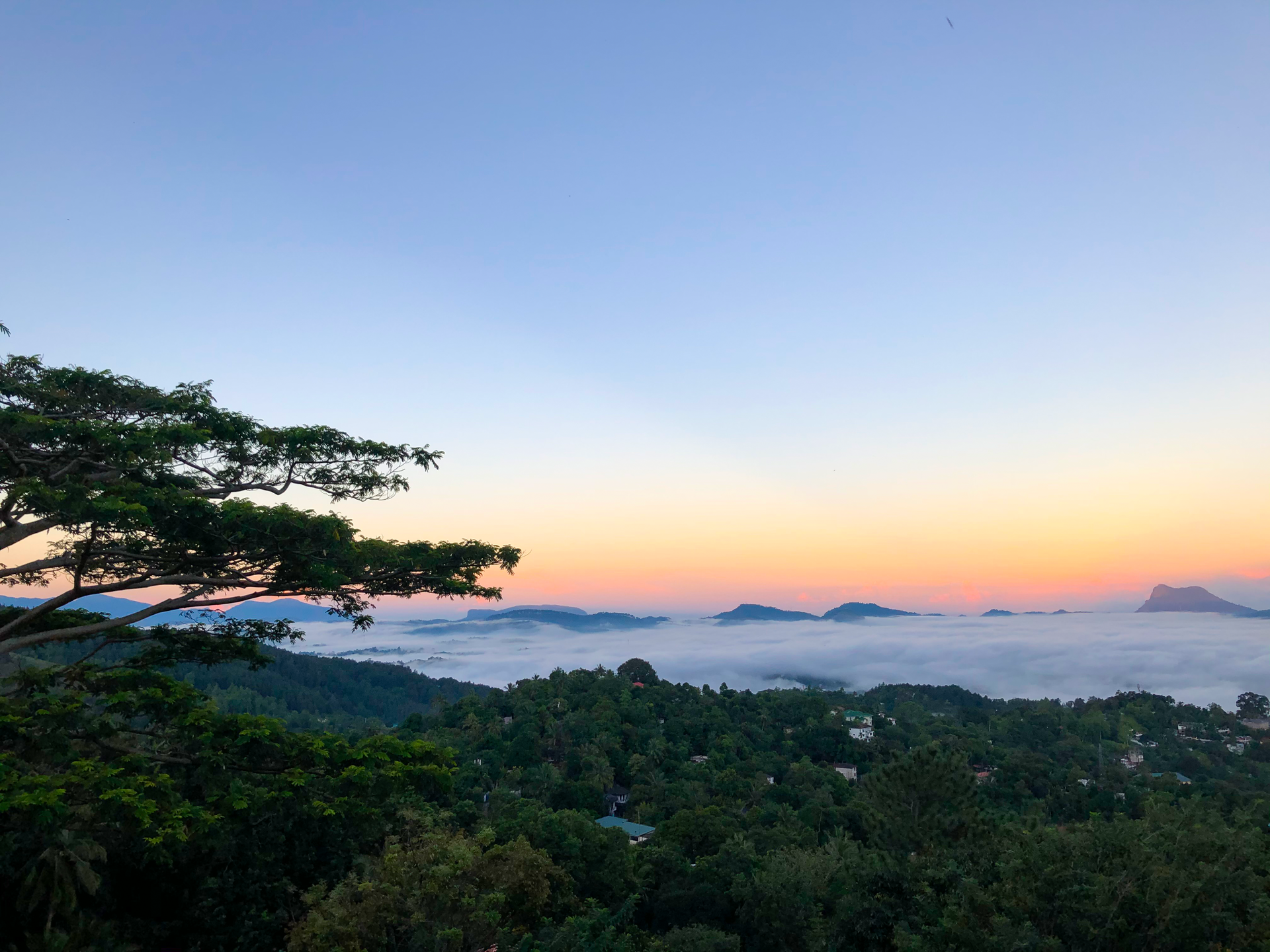 Misty hills and greenery