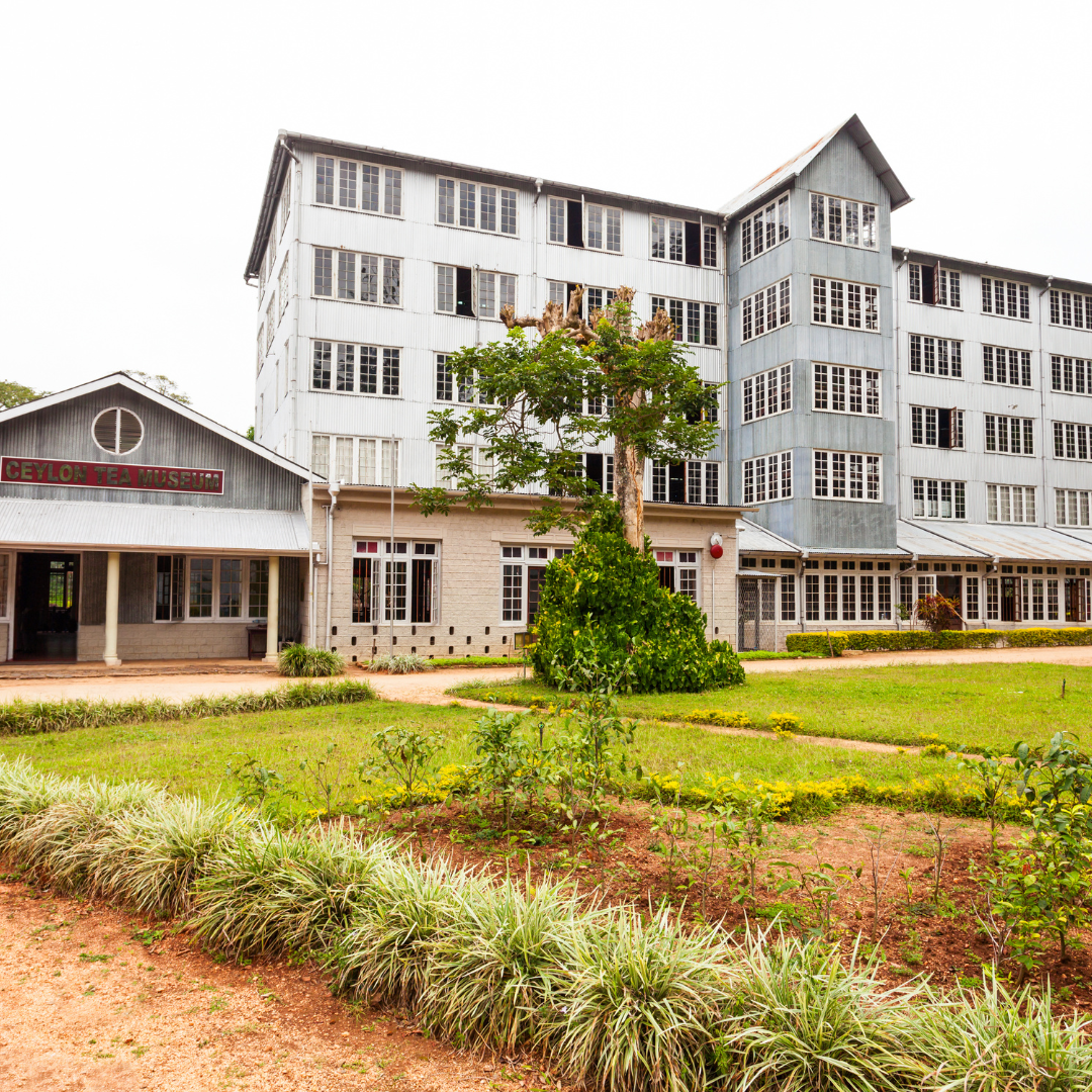 External view of the tea museum