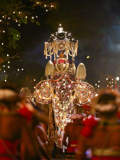 An elephant dressed in its finery taking part in a perahara