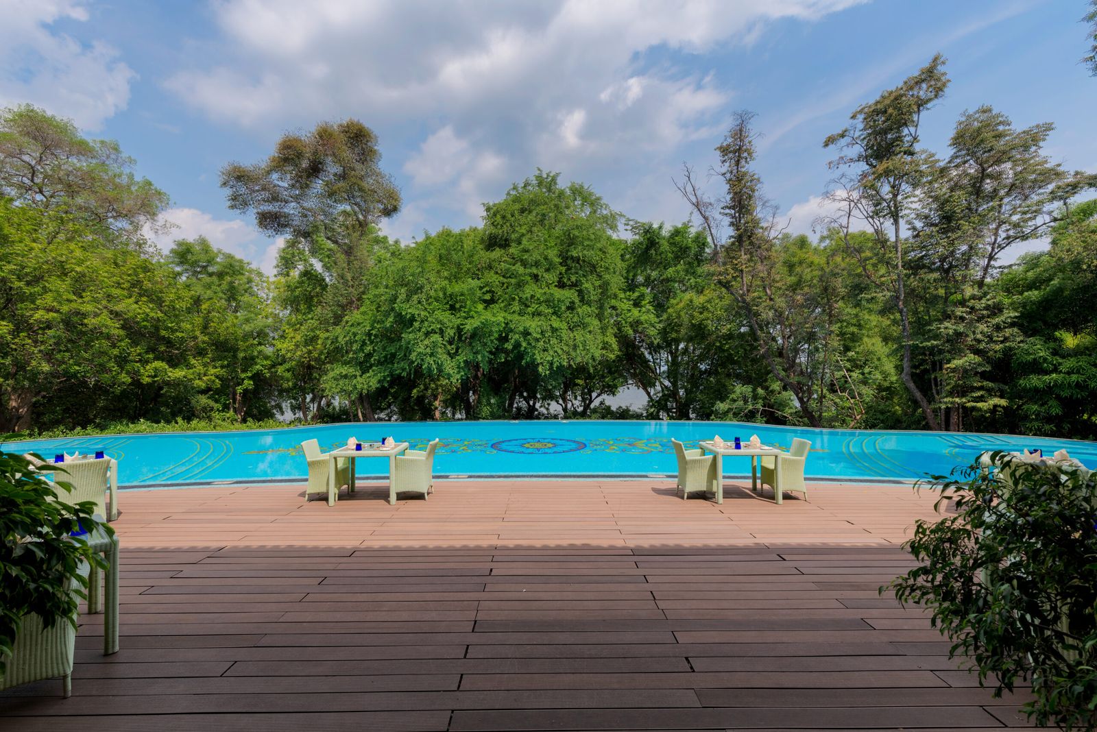 A pool edged by a timber deck with loungers, trees behind it.