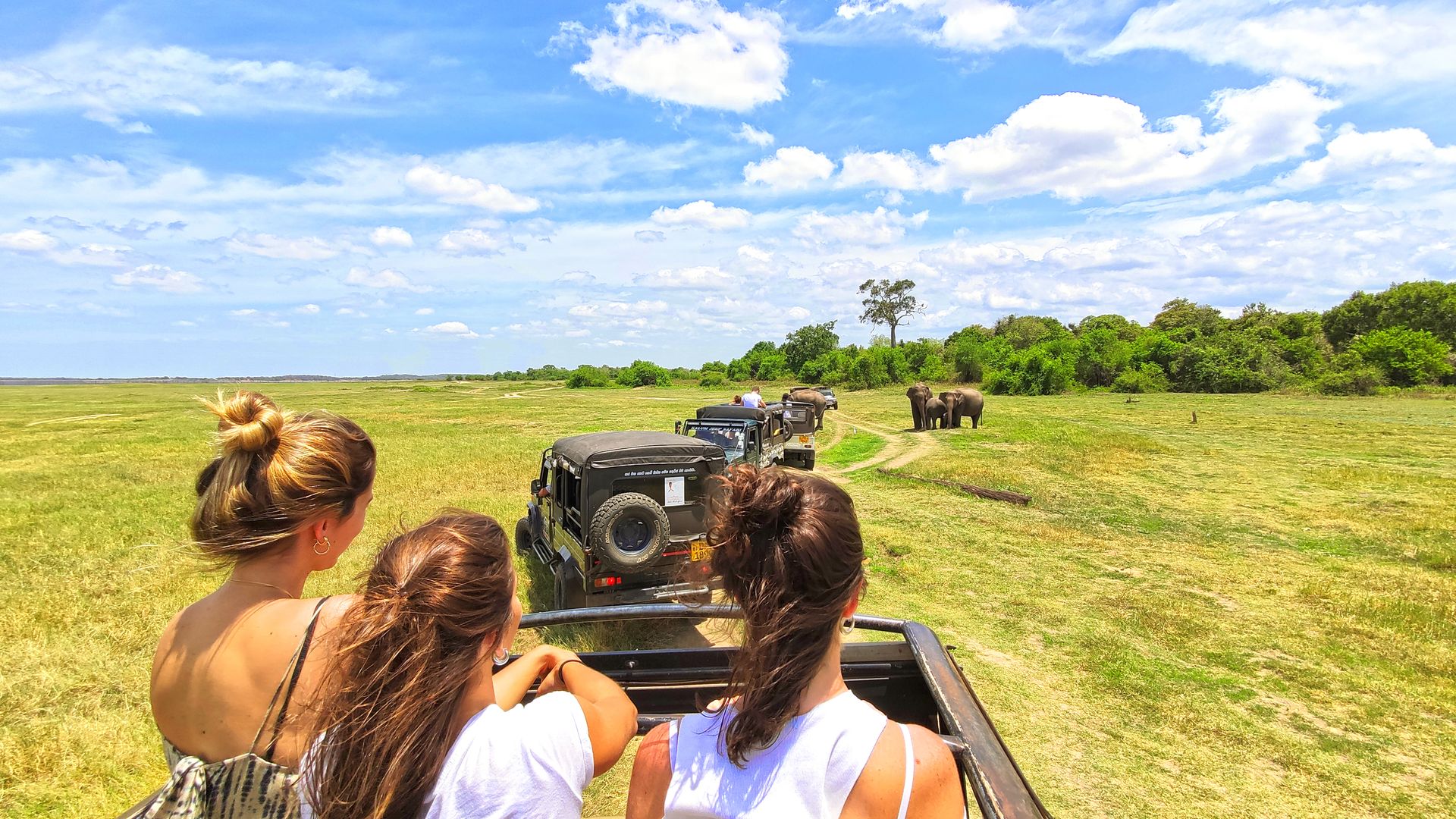 A trail of jeeps at an elephant safari