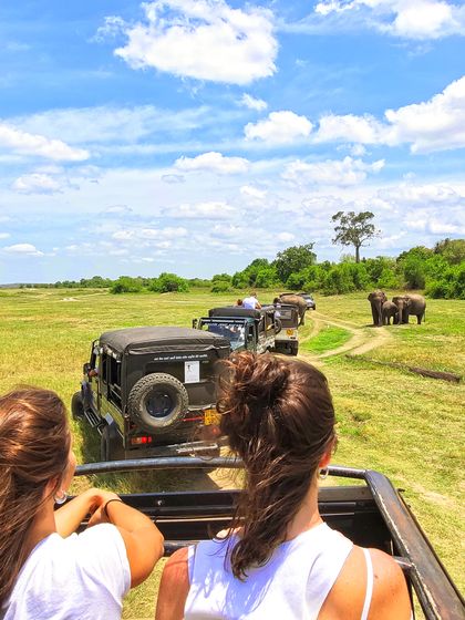 A trail of jeeps at an elephant safari