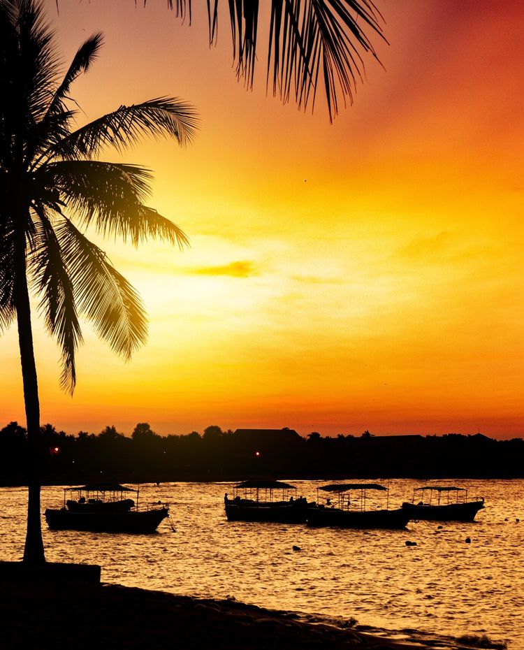 Golden sunset with boats and palm trees