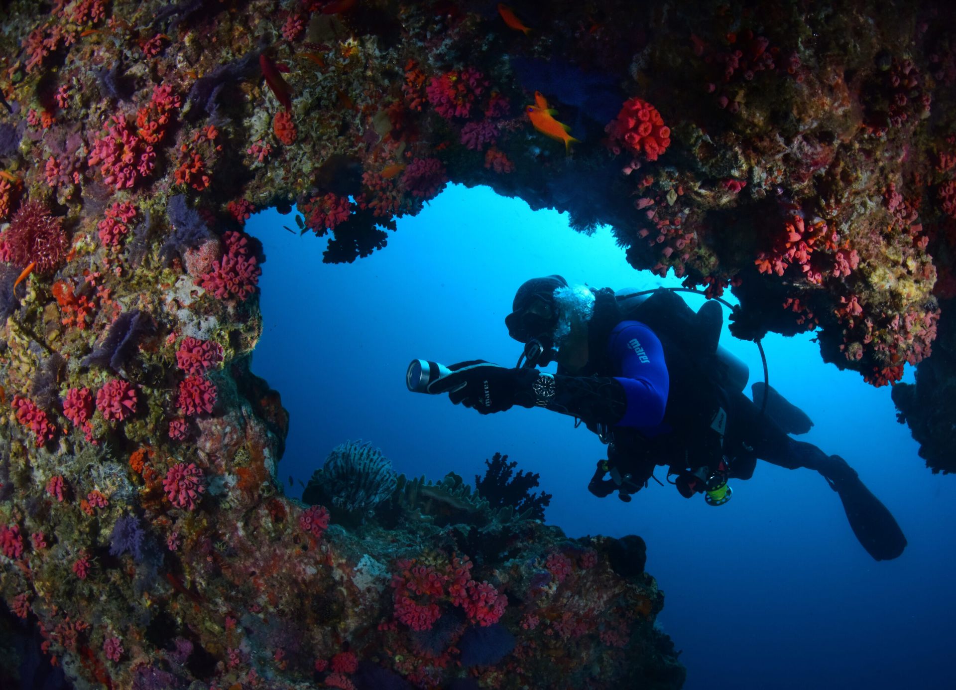 A person looking at coral with a light while diving underwater